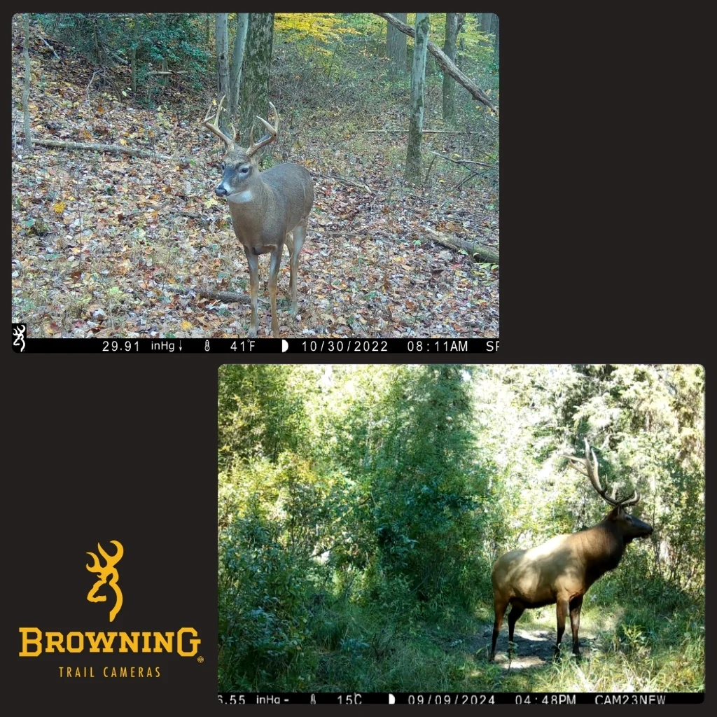 Browning Spec Ops Elite HP5 Ultra Trail Camera - Image 5